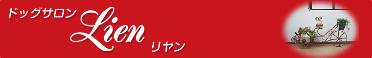 ɥåLien