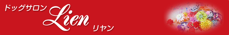 ɥåLien