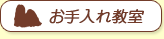 顼