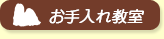 顼